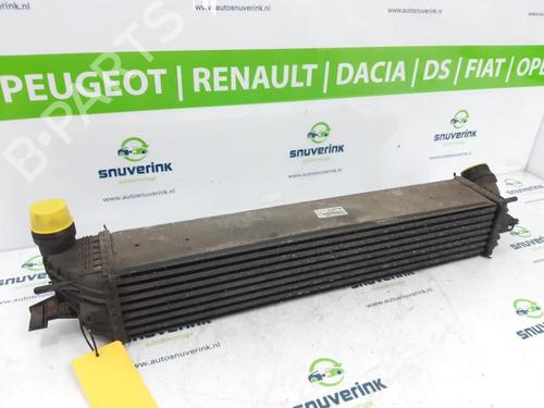 Used Intercooler RENAULT LAGUNA Coupe (DT0/1) 2.0 GT (204 hp) 17763790