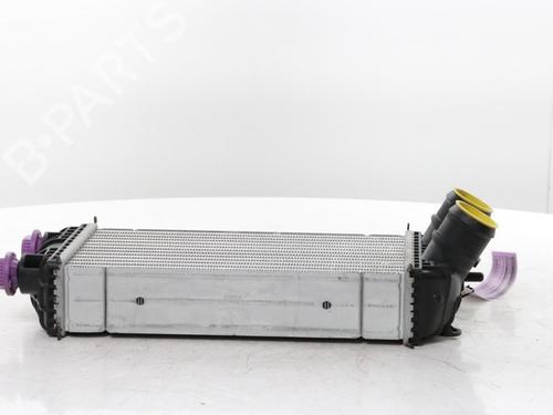Intercooler FIAT GRANDE PANDA (328) 1.2 Mild Hybrid (325) | BP33845939M30 - Image 6