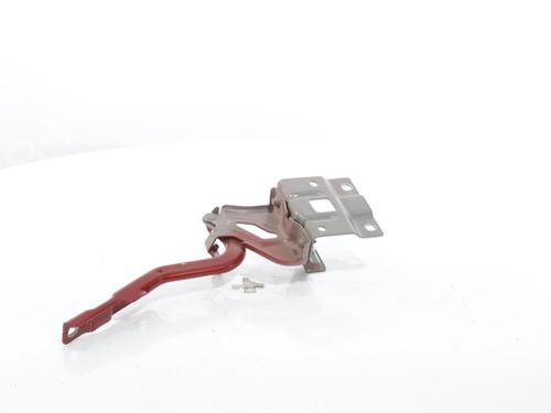Used Hinge/Door check strap DACIA SANDERO III 1.0 TCe 90 (91 hp) 29068656