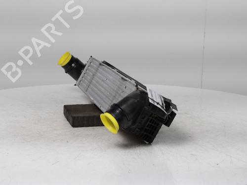 Intercooler BMW X1 (U11) sDrive 18 d | BP36538539M30 - Image 8