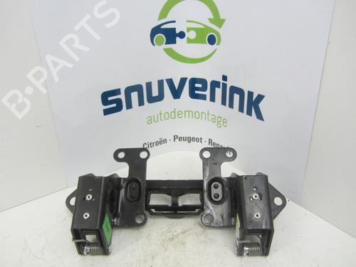 Hinge/Door check strap RENAULT MEGANE II Coupé-Cabriolet (EM0/1_) 1.6 | BP13187070C146 