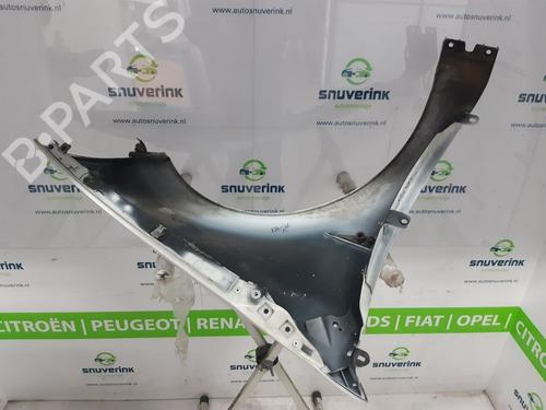 Left front fenders RENAULT MEGANE II Estate (KM0/1_) 1.5 dCi (KM1F) | BP11010013C41 