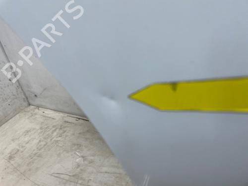 Left front door OPEL MOVANO B Van (X62) 2.3 CDTI FWD (FV) | BP30757998C2