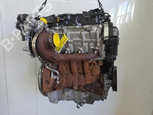 Used Engine RENAULT EXPRESS Box Body/MPV 1.5 Blue dCi 75 (F6AA) (75 hp) 29068832
