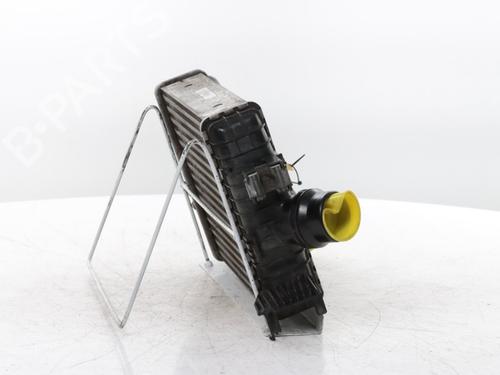 Intercooler RENAULT ARKANA I (LCM_, LDN_) 1.3 TCe 140 (LDN0) | BP34564915M30 - Image 8
