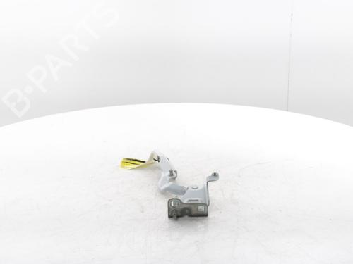 Hinge/Door check strap RENAULT TRAFIC III Van (FG_) 2.0 dCi 120 (FGMN) | BP29426848C146 