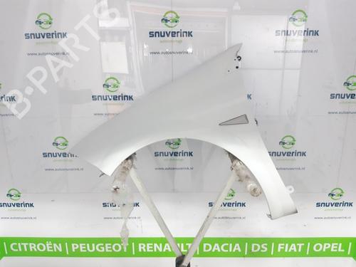 Used Left front fenders RENAULT MEGANE II Estate (KM0/1_) 1.5 dCi (KM1F) (86 hp) 11010013