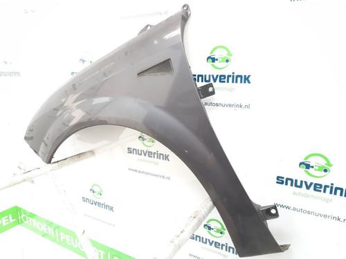 Left front fenders RENAULT SCÉNIC II (JM0/1_) 1.6 (JM0C, JM0J, JM1B) | BP15493960C41 