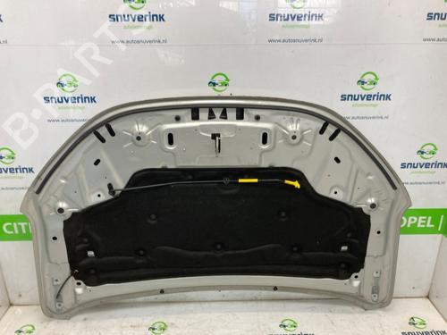 Hood DACIA JOGGER (RK_) 1.0 TCe 110 (RKMD) | BP29068689C1 