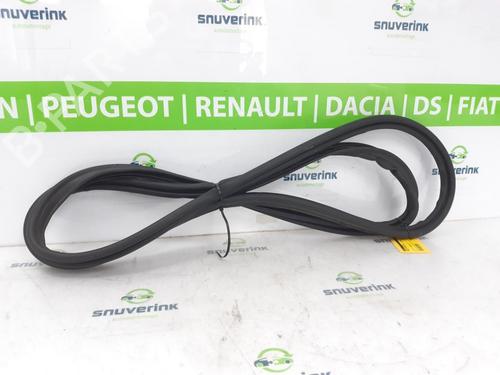 Used Rubber door seal RENAULT ARKANA I (LCM_, LDN_) 1.6 E-TECH 145 (LDMU) (143 hp) 18661923
