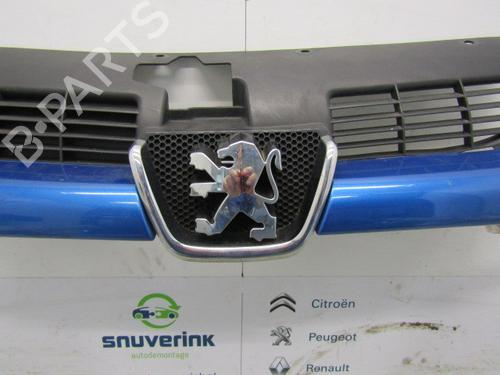 Grille PEUGEOT 206 Hatchback (2A/C) 1.1 i | BP13902320C40 