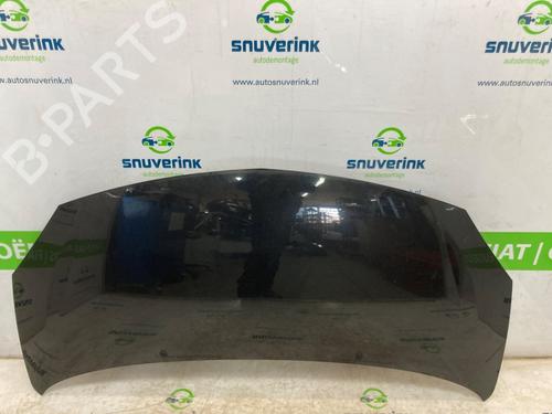 Motorhjelm RENAULT TWINGO II (CN0_) 1.2 16V (CN04, CN0B) (75 hp) 24418504
