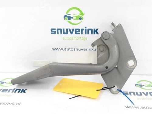 Used Hinge/Door check strap RENAULT MEGANE III Hatchback (BZ0/1_, B3_) 1.5 dCi (BZ09, BZ0D, BZ1W, BZ29, BZ14) (110 hp) 23122414