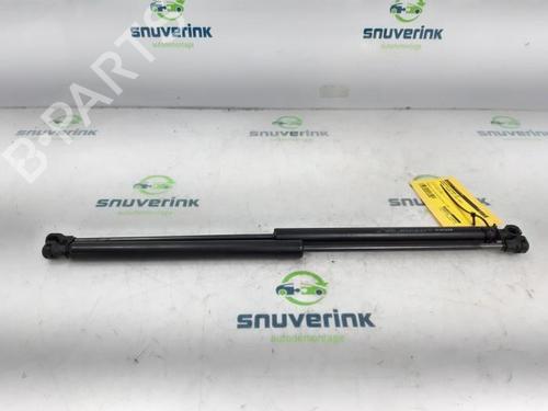 hood-lift-support-renault-twingo-iii-bcm_-bca_-2014-40573857 main image