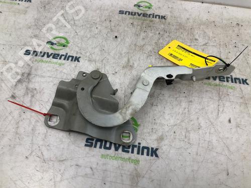 Hinge/Door check strap RENAULT ZOE (BFM_) ZOE | BP16764670C146 