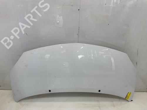 hood-renault-twingo-ii-cn0_-2007-27971347 main image