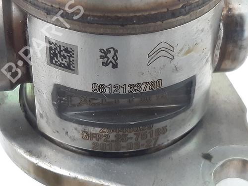 Injection pump DS DS 3 / DS 3 CROSSBACK (UR_, UC_, UJ_) 1.2 PureTech 130 (URHNSS) | BP29827829M78 