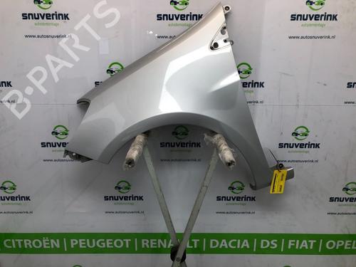 Used Left front fenders RENAULT CLIO III (BR0/1, CR0/1) 1.2 16V (BR02, BR0J, BR11, CR02, CR0J, CR11) (75 hp) 13414783