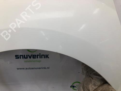 Left front fenders RENAULT KANGOO Express (FW0/1_) 1.5 dCi 90 (FW0G, FW05, FW08, FW11) | BP19687142C41 