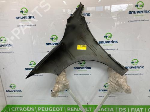 Right front fenders RENAULT MEGANE III Grandtour (KZ0/1) 1.5 dCi (KZ09, KZ0D, KZ1G, KZ29, KZ14, KZ1W, KZ10, KZ1F,... | BP19306675C42 