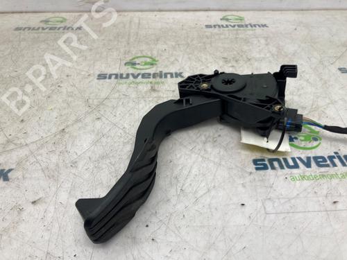 Pedal DACIA DUSTER (PYM_, PYN_) 1.2 TCe 130 | BP26279959I4 