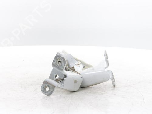 hingedoor-check-strap-renault-trafic-iii-van-fg_-2014-34423599 main image