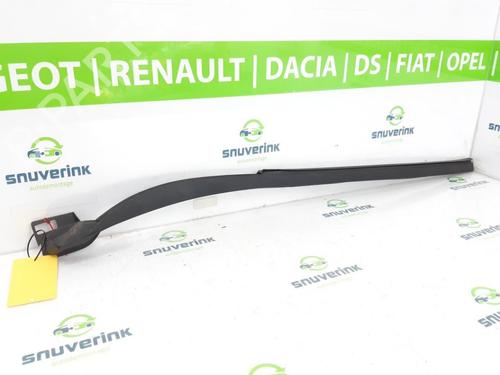 Annen RENAULT ZOE (BFM_) ZOE (88 hp) 13195107