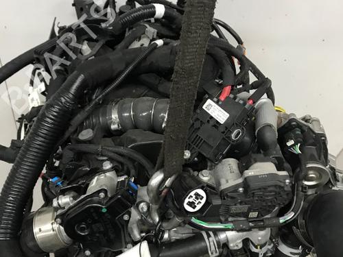Engine RENAULT KANGOO III MPV Blue dCi 75 (KJAA) | BP33813719M1  - Image 5
