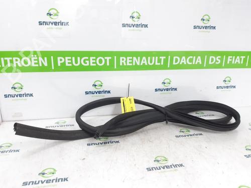Used Rubber door seal RENAULT KANGOO Express (FW0/1_) 1.5 dCi 75 (FW07, FW10, FW04) (75 hp) 17191016