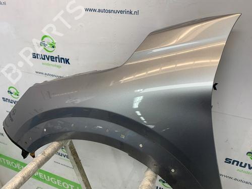 Left front fenders PEUGEOT 208 II (UB_, UP_, UW_, UJ_) e-208 | BP25828990C41 