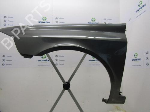 Used Left front fenders RENAULT LAGUNA II Grandtour (KG0/1_) 1.8 16V (KG0J) (116 hp) 10786063