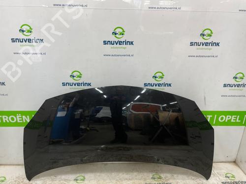 hood-renault-twingo-ii-cn0_-2007-26665728 main image
