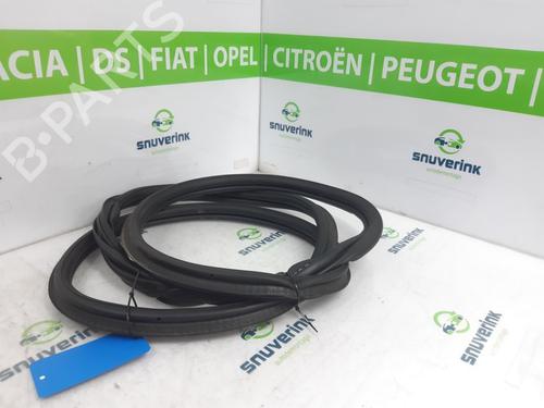 Rubber door seal PEUGEOT 2008 II (UD_, US_, UY_, UJ_, UR_, UC_) 1.2 PureTech 130 (USHNS, URHNS) | BP21193993C142