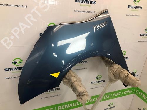 Left front fenders CITROËN C4 Picasso I MPV (UD_) 1.6 HDi 110 | BP20499533C41 