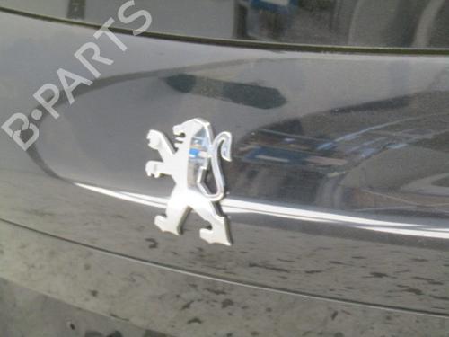 Tailgate PEUGEOT 207 (WA_, WC_) 1.6 16V Turbo | BP10792962C6 