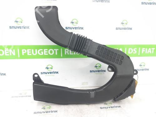 Used Pipe RENAULT AUSTRAL E-TECH 200 Hybrid (HGM2) (199 hp) 24841108