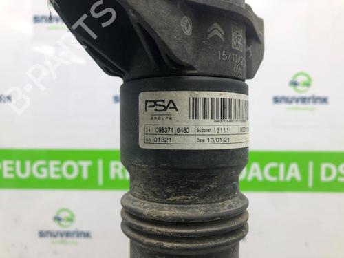 Dämpfer hinten links OPEL CORSA F (P2JO) 1.2 (68) | BP18413789M18 