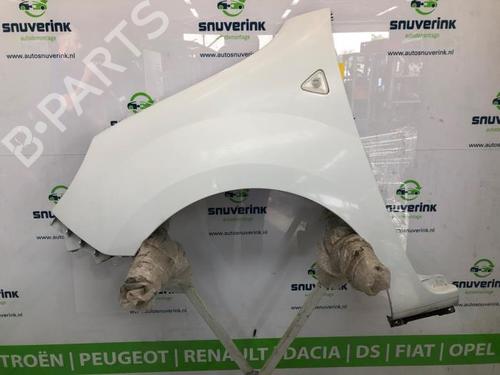 left-front-fenders-renault-kangoo-express-fw01_-2008-40581253 main image