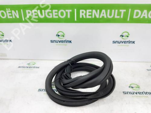 Used Rubber door seal PEUGEOT 208 II (UB_, UP_, UW_, UJ_) e-208 (136 hp) 19258447