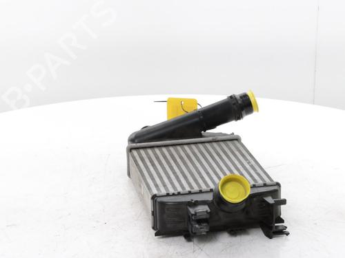 Intercooler RENAULT CLIO V (B7_) 1.0 TCe 100 (B7MT) | BP29899578M30 