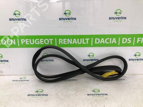 Rubber door seal RENAULT ARKANA I (LCM_, LDN_) 1.3 TCe 160 (LDN1) | BP20214105C142 