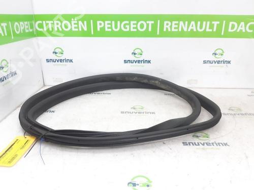 Gummiliste RENAULT AUSTRAL E-TECH 200 Hybrid (HGM2) | BP24841072C142 - Image 3