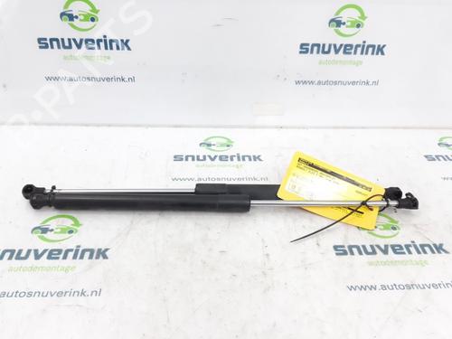 Used Tailgate lift support RENAULT CLIO III (BR0/1, CR0/1) 1.2 16V (BR02, BR0J, BR11, CR02, CR0J, CR11) (75 hp) 13534802