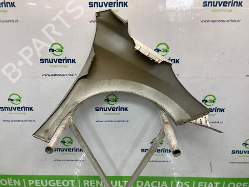 Left front fenders PEUGEOT 207 (WA_, WC_) 1.6 16V VTi | BP27092951C41 