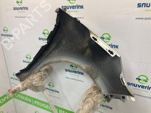 Left front fenders RENAULT SCÉNIC III (JZ0/1_) 1.5 dCi | BP21544533C41 