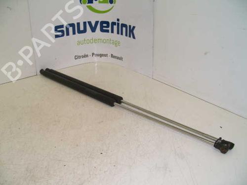 Used Tailgate lift support PEUGEOT 106 II (1A_, 1C_) 1.1 i (60 hp) 21110787