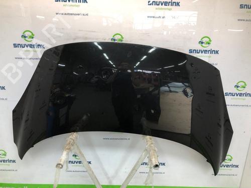 Used Hood RENAULT SCÉNIC III (JZ0/1_) 1.6 16V (JZ0U, JZ1B) (110 hp) 24705259