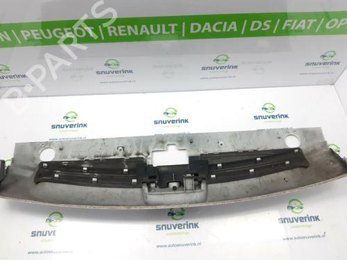 Grille PEUGEOT PARTNER Box Body/MPV (5_, G_) 1.9 D | BP10801234C40