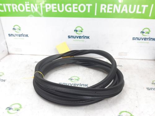 Gummiliste RENAULT SYMBIOZ 1.6 E-Tech 145 | BP24944069C142 - Image 2