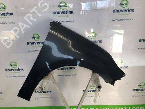 Used Right front fenders RENAULT SCÉNIC III (JZ0/1_) 1.5 dCi (110 hp) 24841343